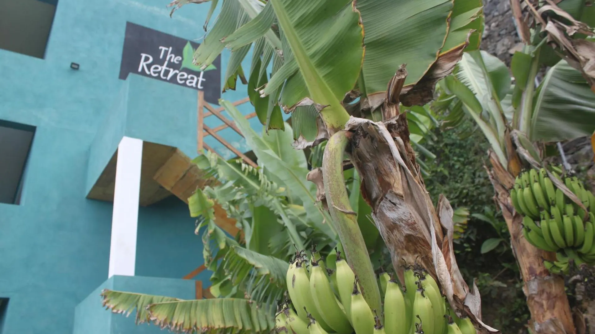 The Retreat Hotel Monte Joana Guest house